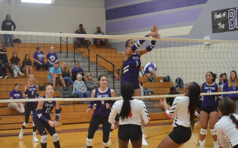 Article Image Alt Text