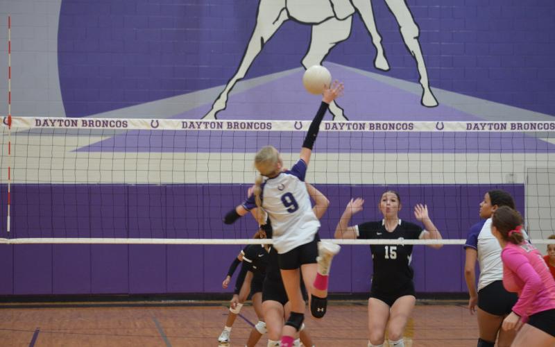 Article Image Alt Text