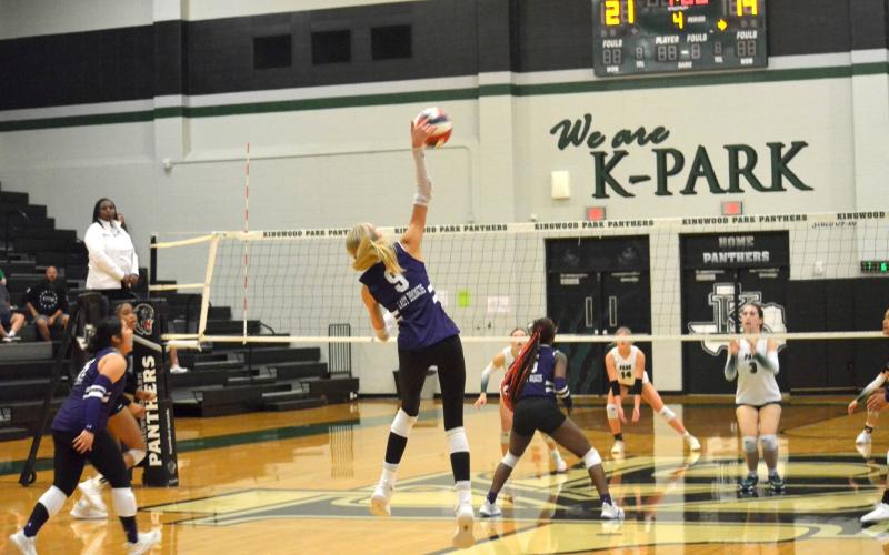 Article Image Alt Text