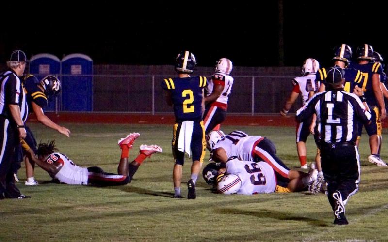 Article Image Alt Text