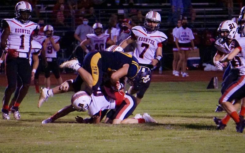 Article Image Alt Text