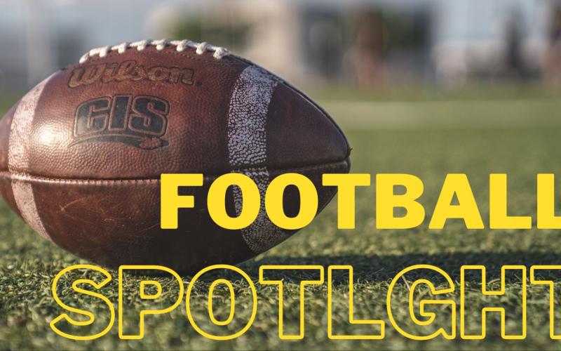 Article Image Alt Text