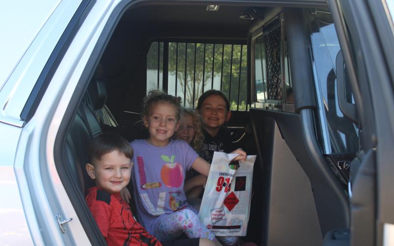 Article Image Alt Text