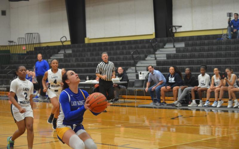 Article Image Alt Text