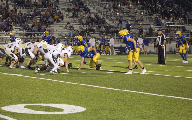 Article Image Alt Text