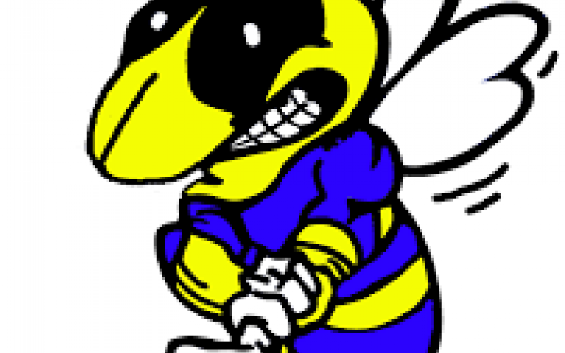 Article Image Alt Text