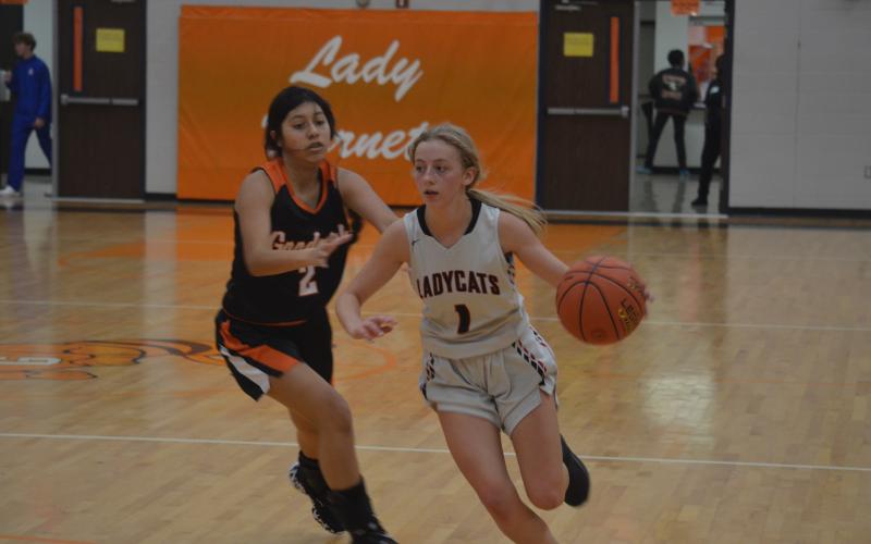 Article Image Alt Text