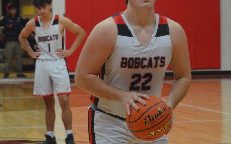 Article Image Alt Text