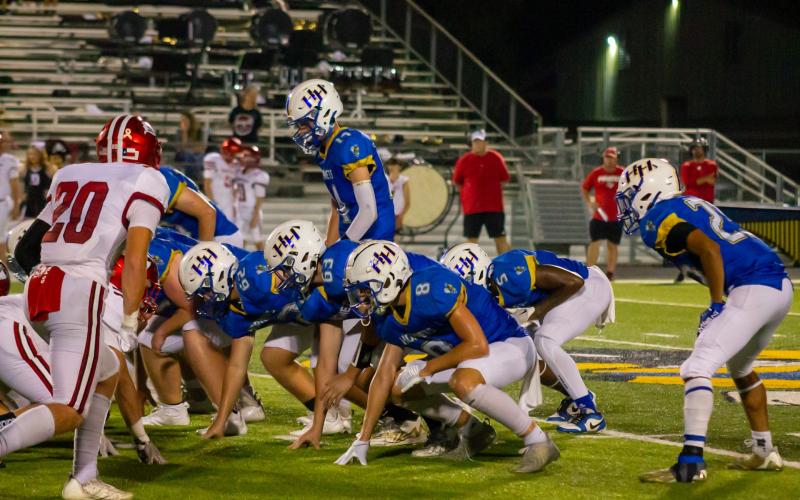 Article Image Alt Text