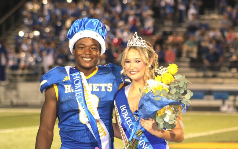 Article Image Alt Text