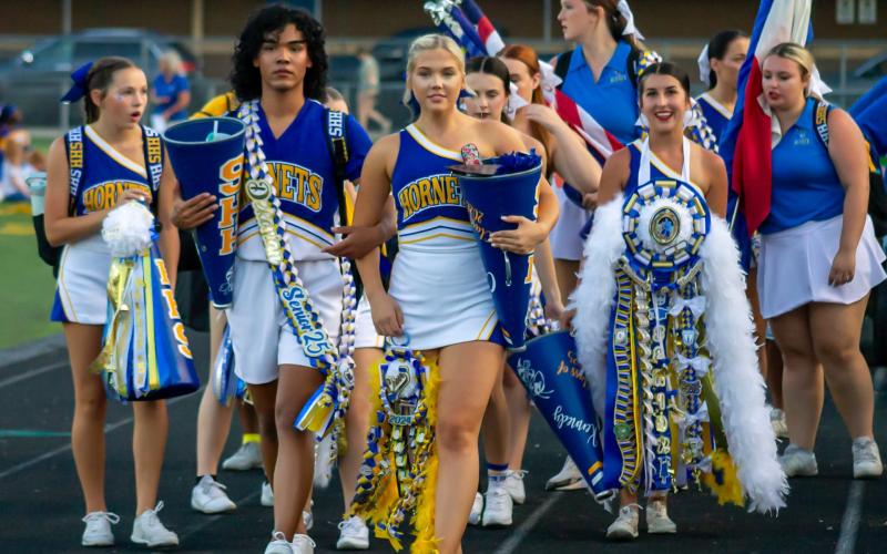 Article Image Alt Text