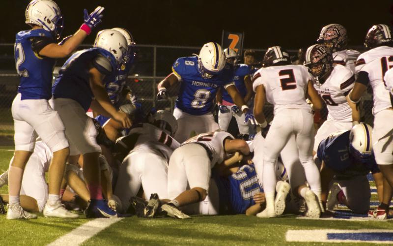 Article Image Alt Text