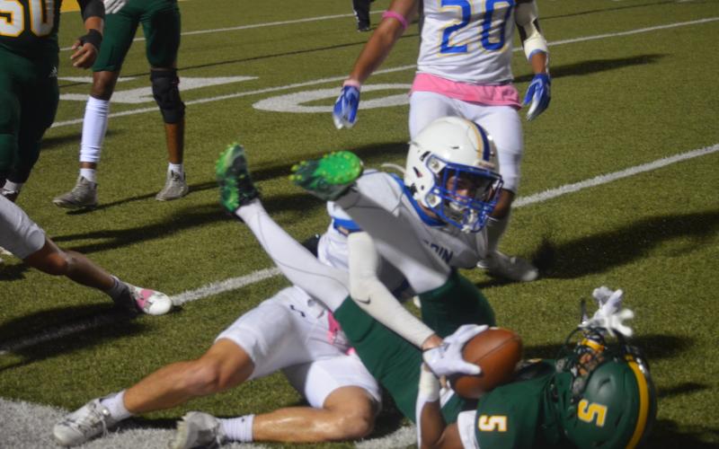 Article Image Alt Text