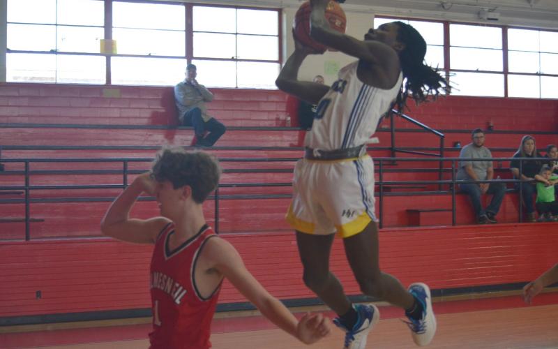 Article Image Alt Text