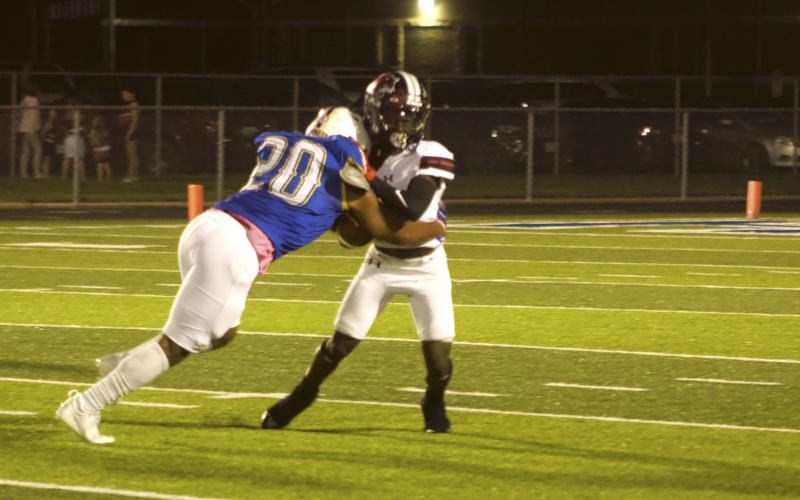 Article Image Alt Text