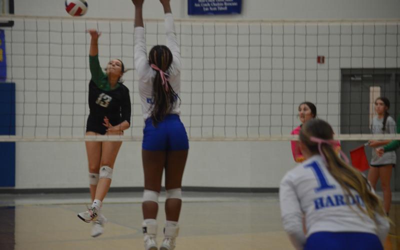 Article Image Alt Text