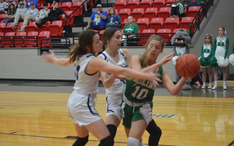 Article Image Alt Text