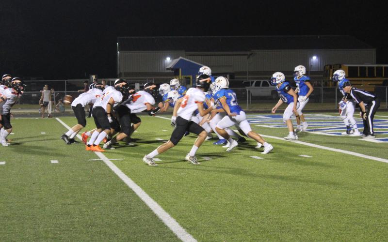 Article Image Alt Text