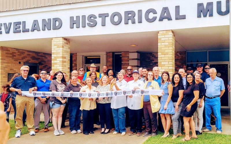 Article Image Alt Text