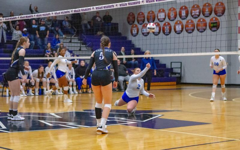 Article Image Alt Text