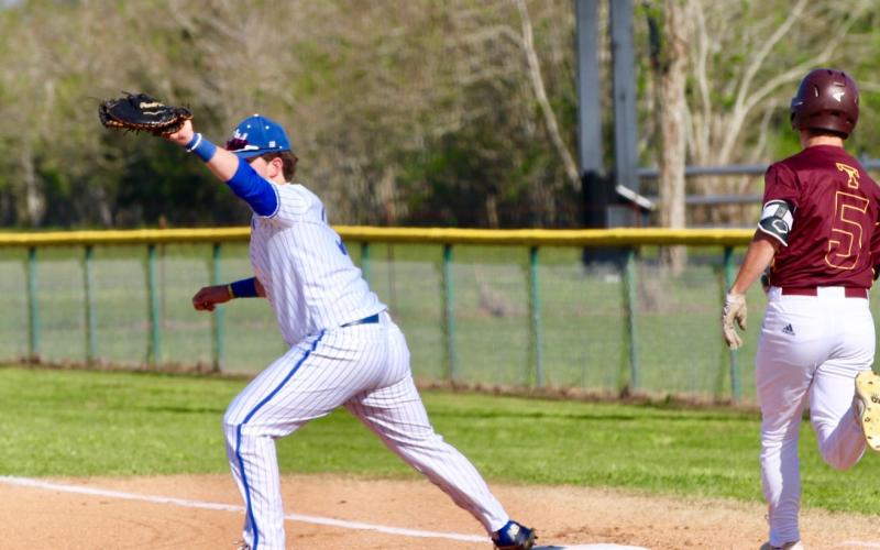 Article Image Alt Text