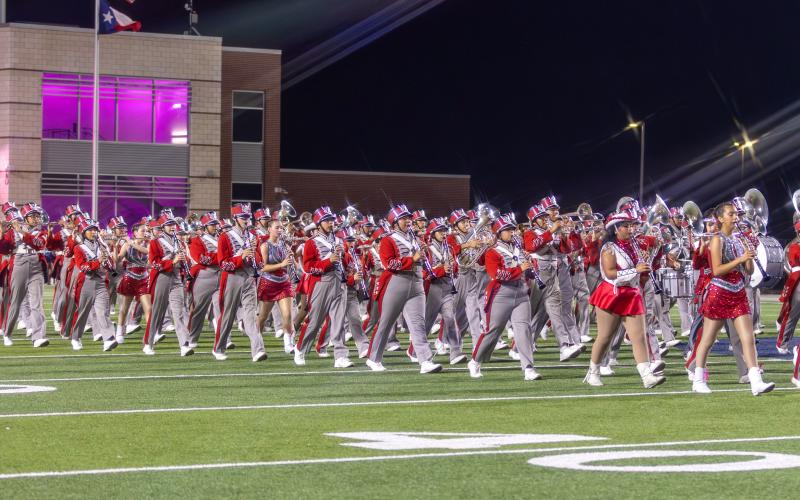 Article Image Alt Text