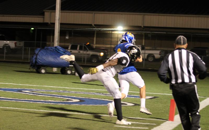 Article Image Alt Text