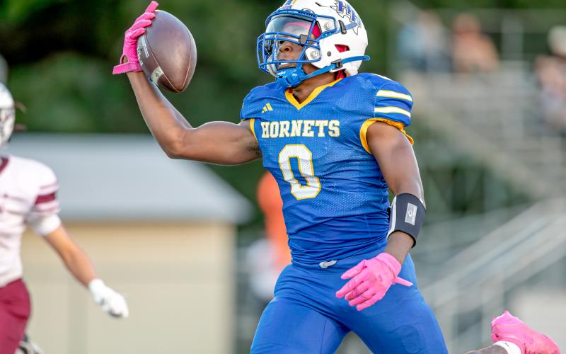 Article Image Alt Text