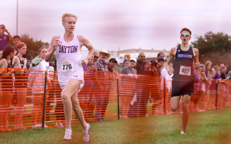 Article Image Alt Text