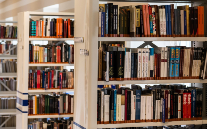 Article Image Alt Text