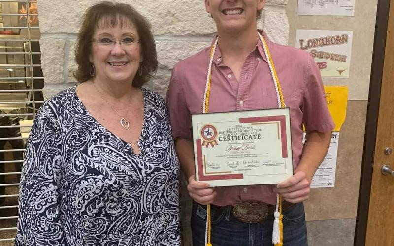 Article Image Alt Text