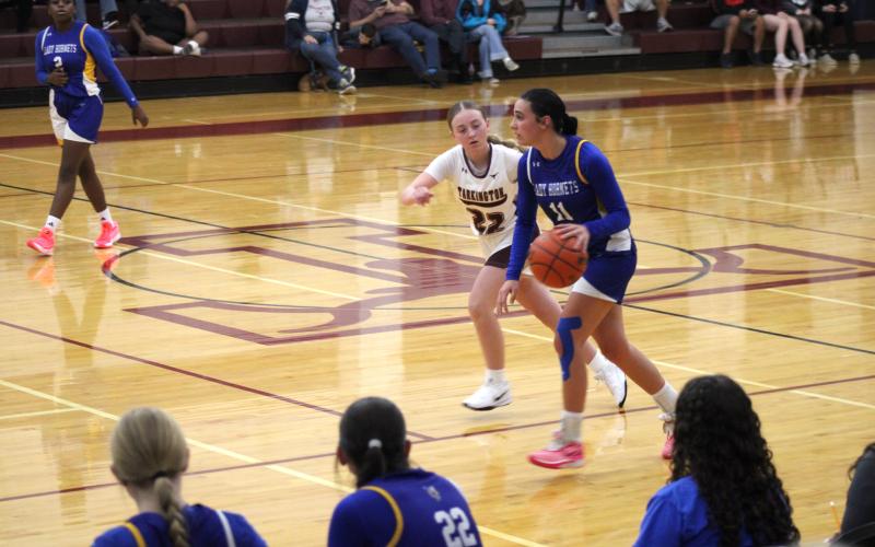 Article Image Alt Text