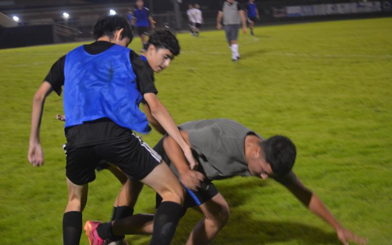 Article Image Alt Text