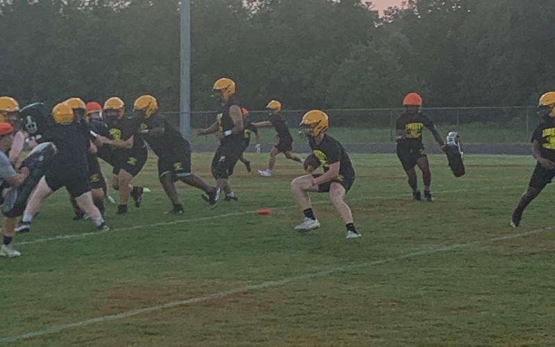 Article Image Alt Text