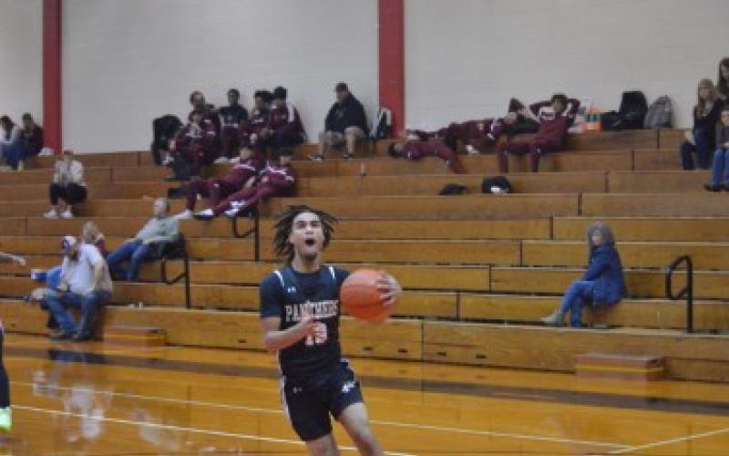 Article Image Alt Text