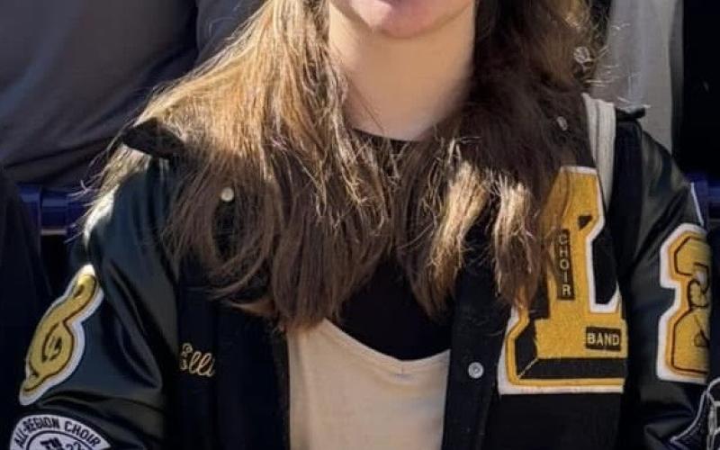 Article Image Alt Text