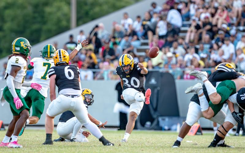 Article Image Alt Text