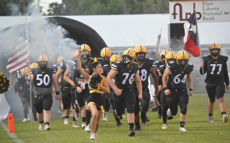 Article Image Alt Text