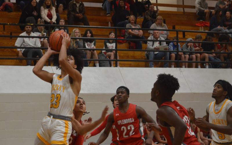 Article Image Alt Text