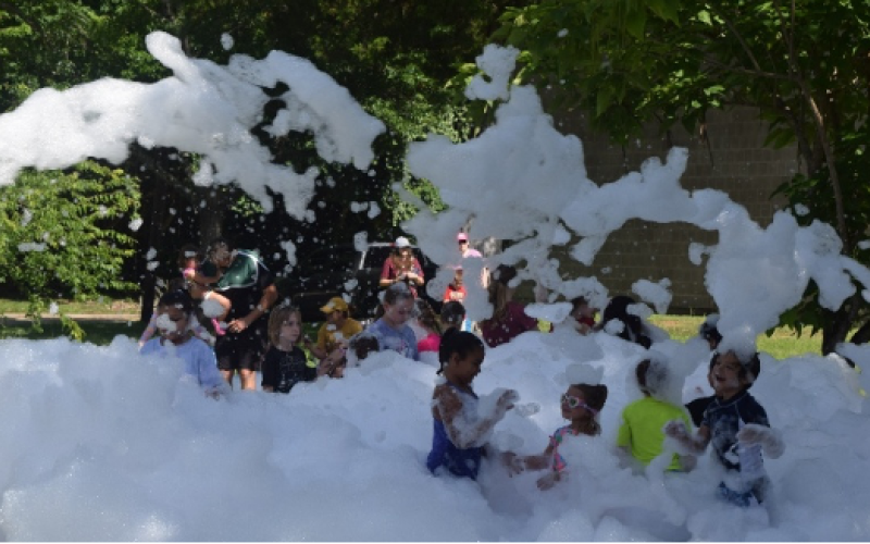 Article Image Alt Text