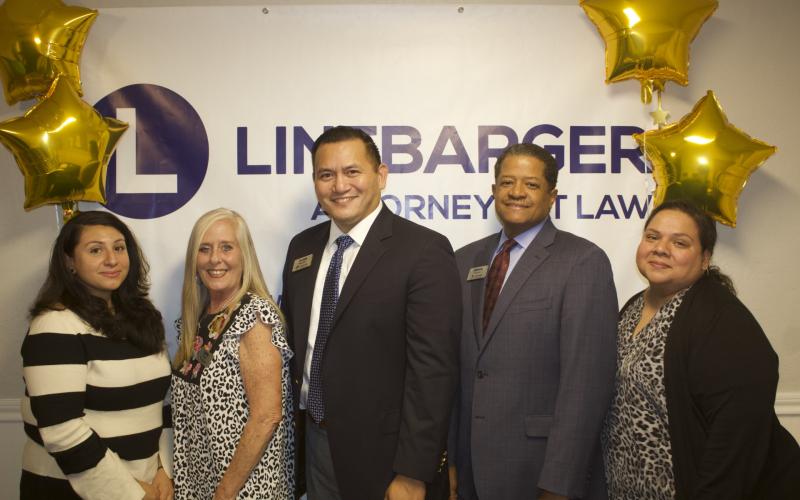 Article Image Alt Text