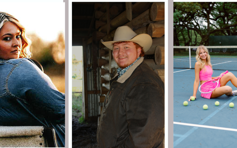 Article Image Alt Text