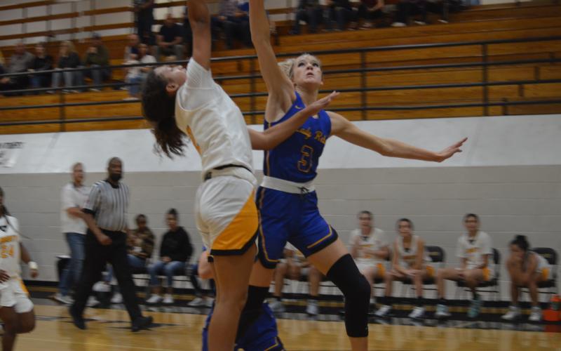 Article Image Alt Text