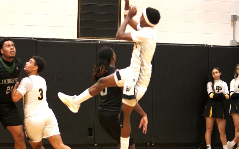 Article Image Alt Text