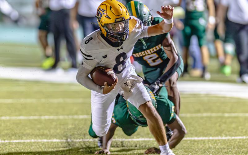 Article Image Alt Text