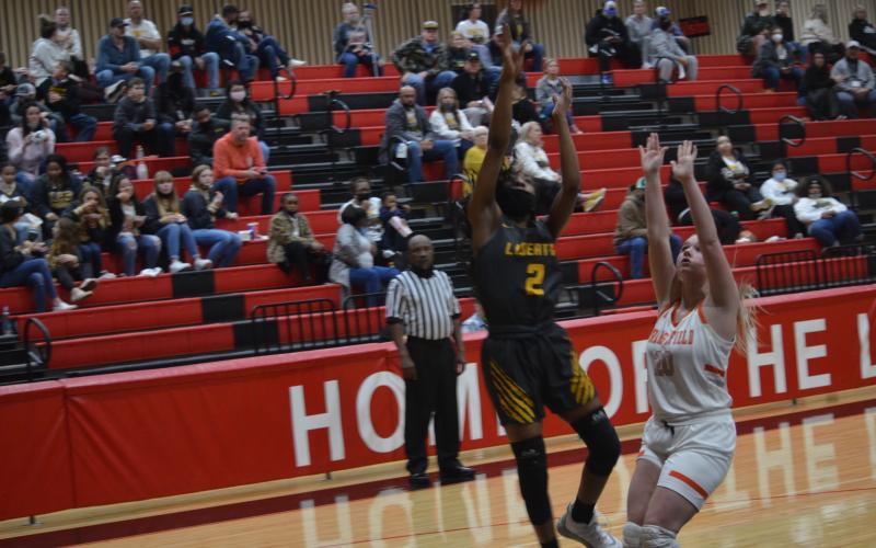 Article Image Alt Text