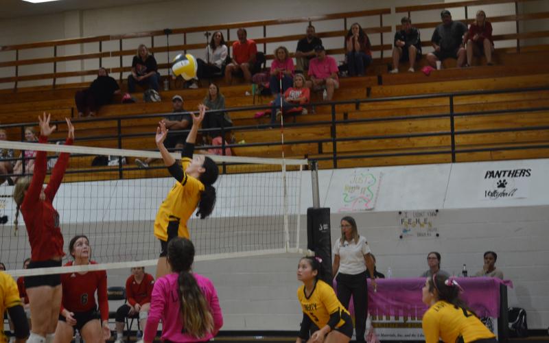 Article Image Alt Text