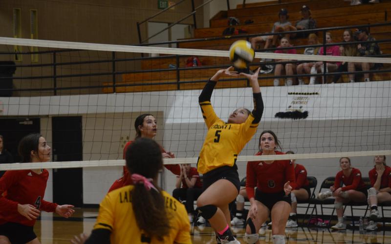 Article Image Alt Text