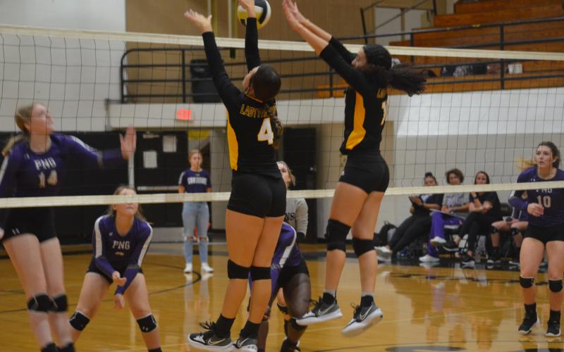 Article Image Alt Text