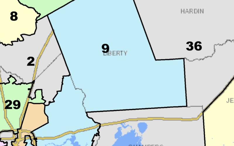 Article Image Alt Text